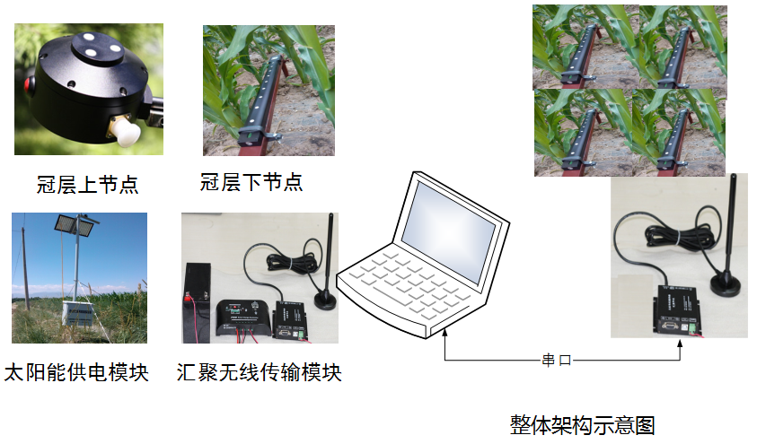 云南点将科技叶面积指数仪DJ-0375